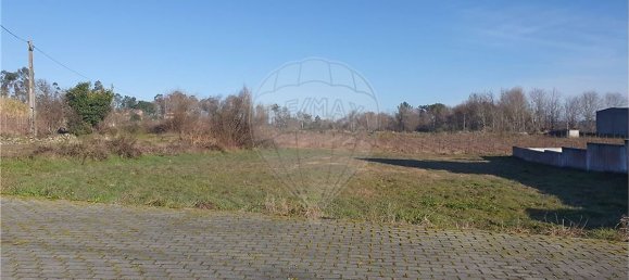 Terreno en Tondela, Portugal 1556 m² No. 51616 8