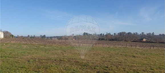 Terreno en Tondela, Portugal 1556 m² No. 51616 6