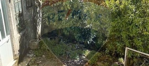 5 bedrooms House in Santiago do Cacem, Portugal No. 179848 11