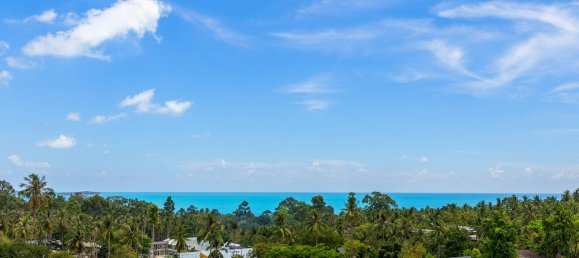 3 bedrooms Cafe / restaurant in Ko Samui, Thailand No. 6229 2