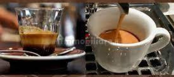 2 rooms Commercial property in Piacenza, Italy No. 223877 2