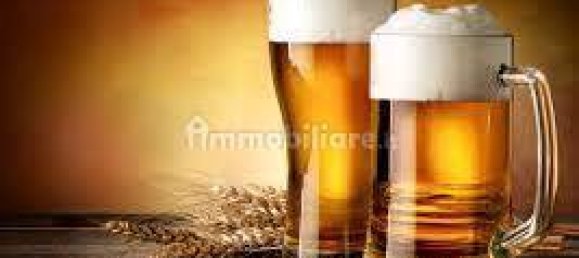 2 rooms Commercial property in Piacenza, Italy No. 223877 21