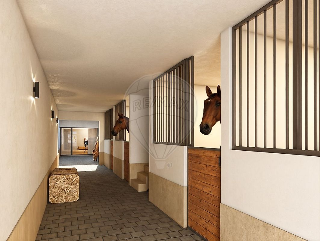 3 Schlafzimmer Haus in Golega, Portugal, Nr. 24265