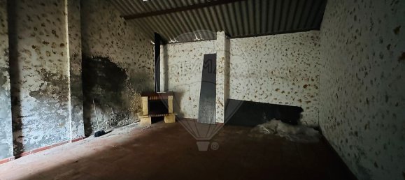 3 Schlafzimmer Haus in Golega, Portugal, Nr. 24265 20