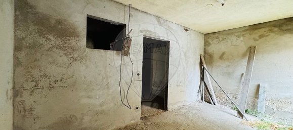 3 Schlafzimmer Haus in Golega, Portugal, Nr. 24265 15