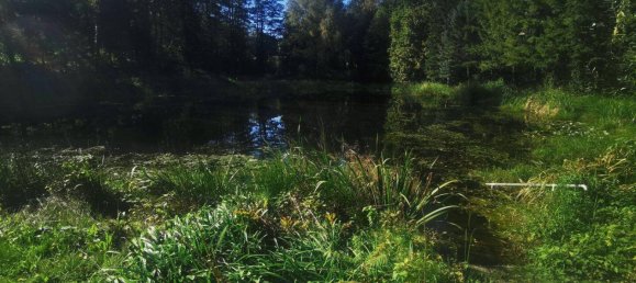 Terreno em Neustift-Innermanzing, Austria N.º 13931 3