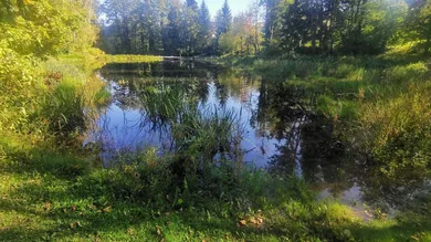 Terreno em Neustift-Innermanzing, Austria N.º 13931