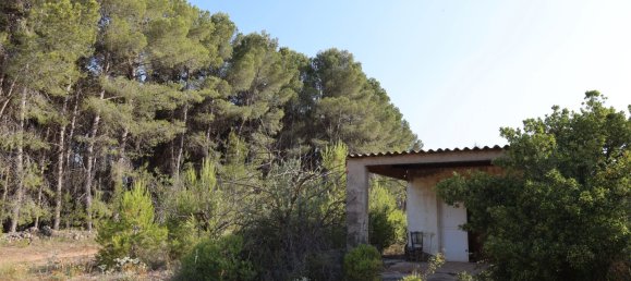 3526m² Land in Alicante, Spain No. 164703 3