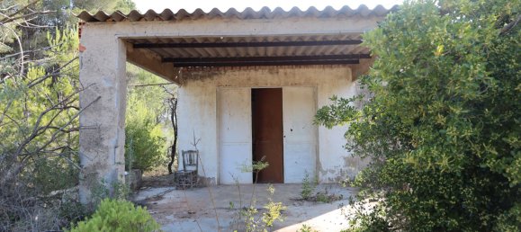 3526m² Land in Alicante, Spain No. 164703 5