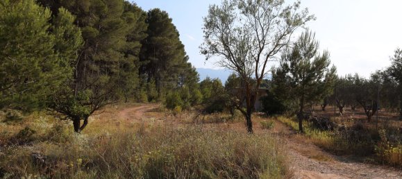 3526m² Land in Alicante, Spain No. 164703 24