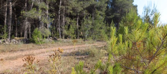 3526m² Land in Alicante, Spain No. 164703 13