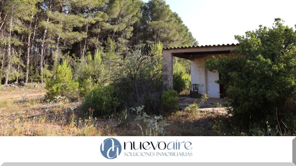 Terrain à Alicante, Spain 3526m² No. 164703