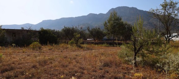 3526m² Land in Alicante, Spain No. 164703 15