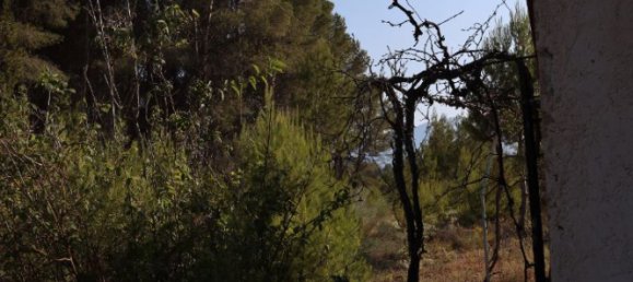 3526m² Land in Alicante, Spain No. 164703 4