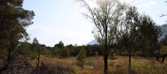 3526m² Land in Alicante, Spain No. 164703 25