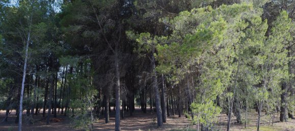 3526m² Land in Alicante, Spain No. 164703 17