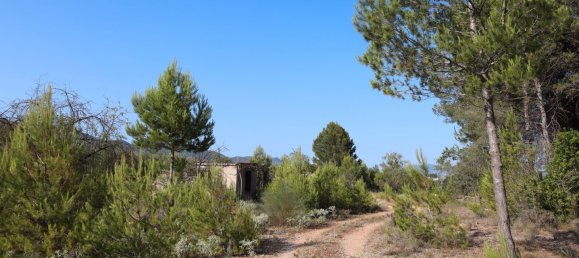 3526m² Land in Alicante, Spain No. 164703 12