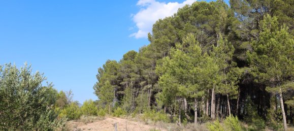 3526m² Land in Alicante, Spain No. 164703 10
