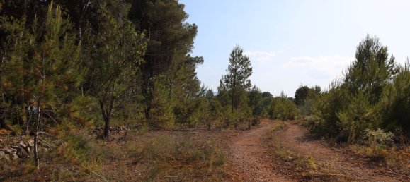 3526m² Land in Alicante, Spain No. 164703 18