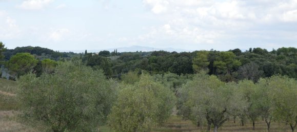 8 Schlafzimmer Haus in Casale Marittimo, Italy, Nr. 365063 34