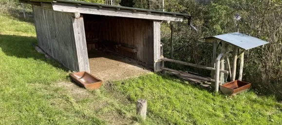 Земельный участок в Хохзауэрланд, Германия № 70089 3