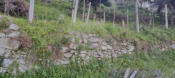 3 Schlafzimmer Haus in Arcos de Valdevez, Portugal, Nr. 19302 4