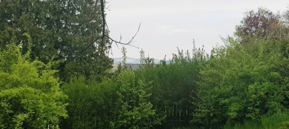 Terreno en Harmannsdorf, Austria No. 134143 6