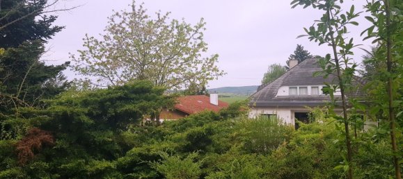 Terreno en Harmannsdorf, Austria No. 134143 3