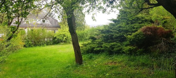 Terreno en Harmannsdorf, Austria No. 134143 5