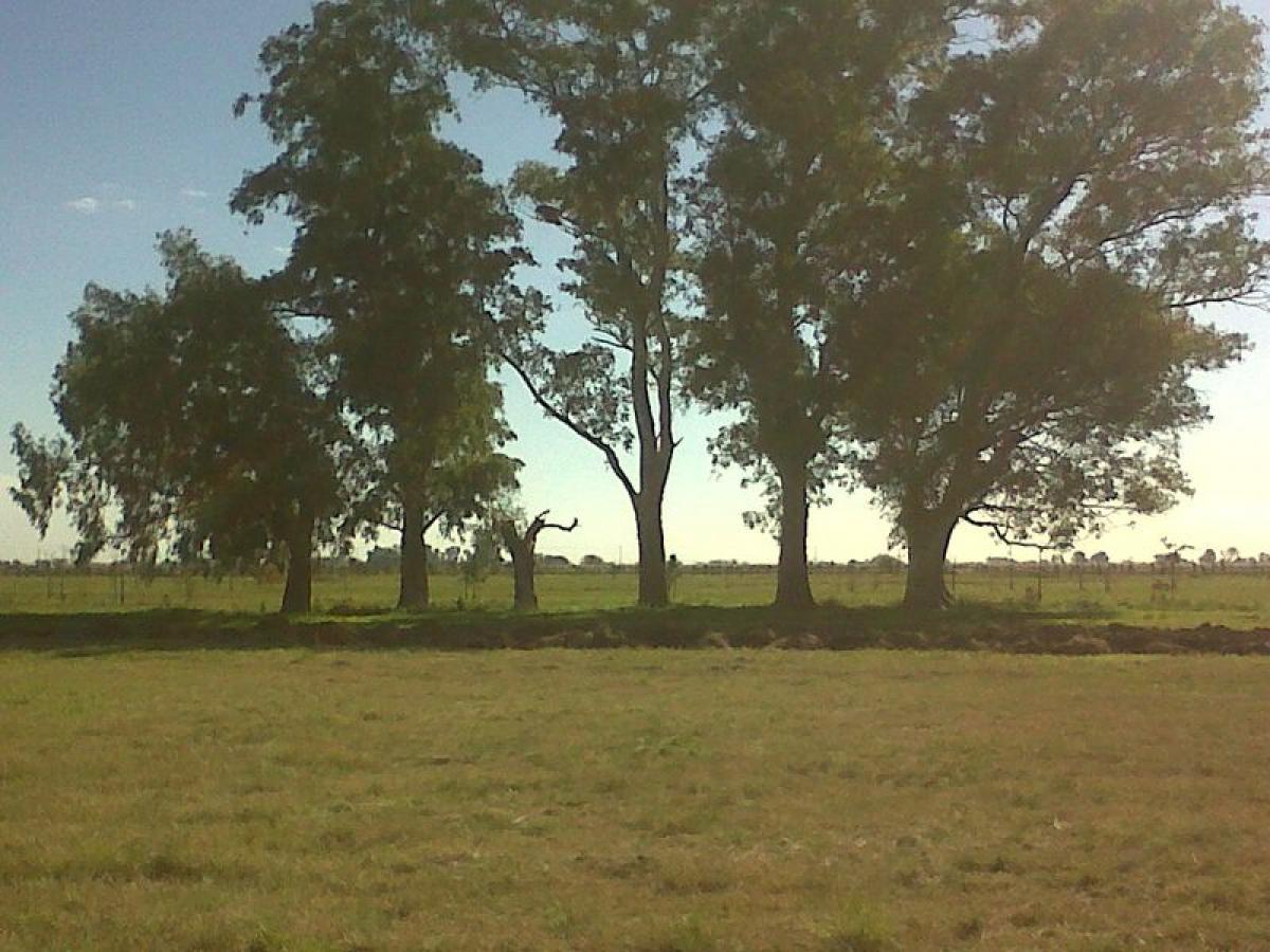 Grundstück in Marcos Paz, Argentina, Nr. 48348