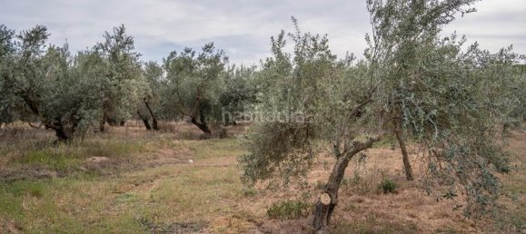 Grundstück in Las Gabias, Spain 15m², Nr. 179324 21