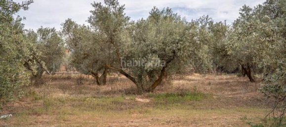 Grundstück in Las Gabias, Spain 15m², Nr. 179324 26