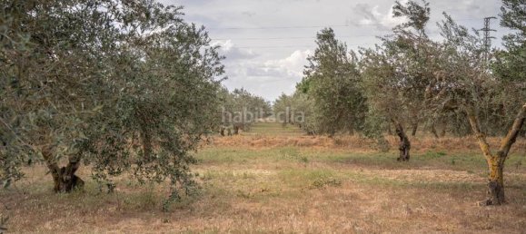 Grundstück in Las Gabias, Spain 15m², Nr. 179324 30