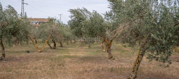 Grundstück in Las Gabias, Spain 15m², Nr. 179324 12