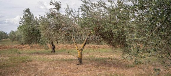 Grundstück in Las Gabias, Spain 15m², Nr. 179324 31