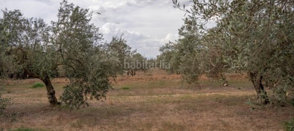 Grundstück in Las Gabias, Spain 15m², Nr. 179324 24