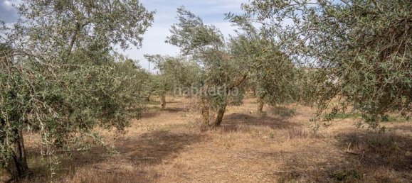 Grundstück in Las Gabias, Spain 15m², Nr. 179324 48