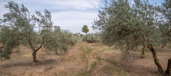 Grundstück in Las Gabias, Spain 15m², Nr. 179324 2