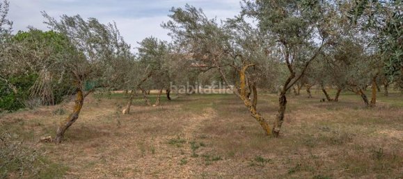 Grundstück in Las Gabias, Spain 15m², Nr. 179324 13