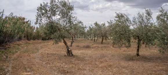 Grundstück in Las Gabias, Spain 15m², Nr. 179324 10