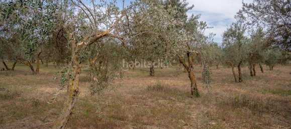 Grundstück in Las Gabias, Spain 15m², Nr. 179324 14