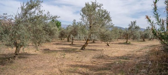 Grundstück in Las Gabias, Spain 15m², Nr. 179324 39
