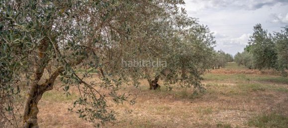 Grundstück in Las Gabias, Spain 15m², Nr. 179324 23