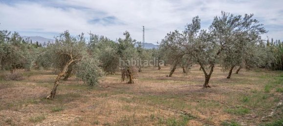 Grundstück in Las Gabias, Spain 15m², Nr. 179324 37