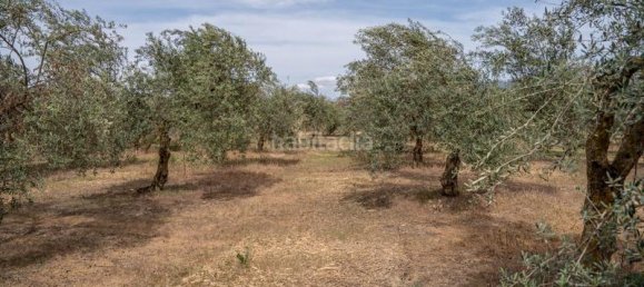 Grundstück in Las Gabias, Spain 15m², Nr. 179324 49