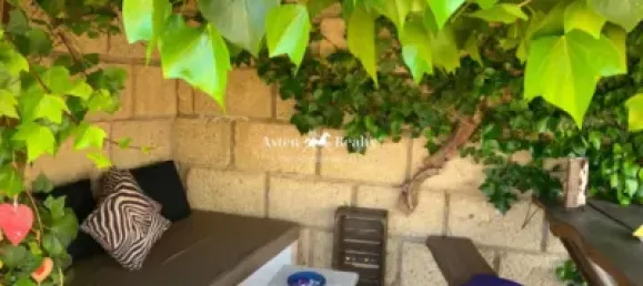 6 bedrooms Building in San Miguel de Abona, Spain No. 27684 45