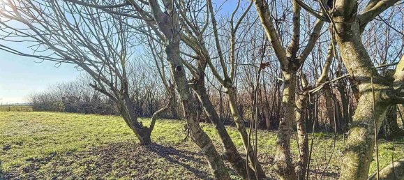 2 rooms House in Gazzuolo, Italy No. 7411 7