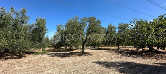 4 bedrooms Villa in Andria, Italy No. 318660 19