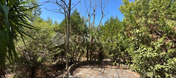 4 bedrooms Villa in Andria, Italy No. 318660 15