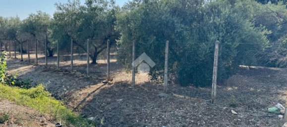 4-Zimmer Villa in Sonnino, Italy, Nr. 307133 42